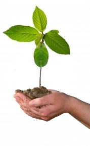 Intermar ltd protejeaza mediul